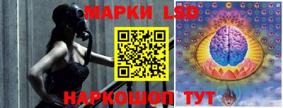 МДПВ Донецк